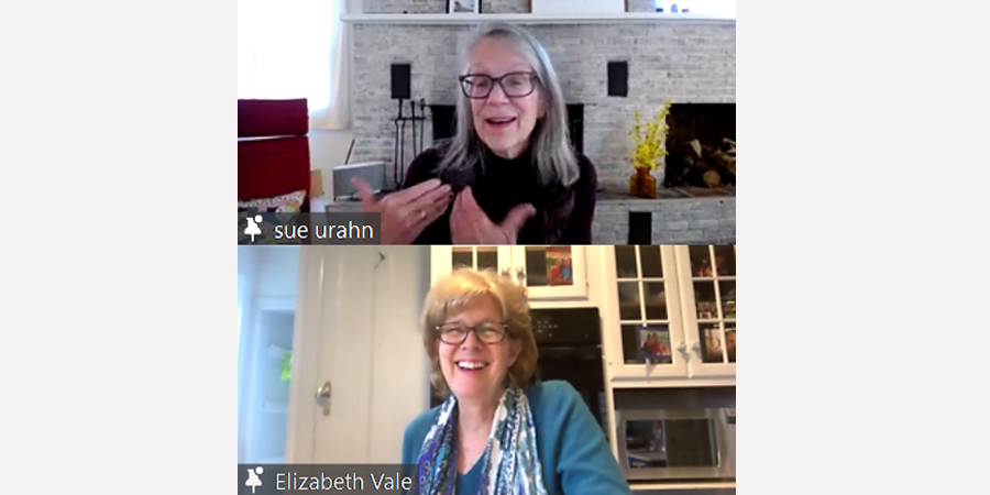 The Public Policy in Practice Series with Distinguished Fellow Elizabeth Vale, provides students with professional perspectives and compelling personal narratives from leaders in the public sector.